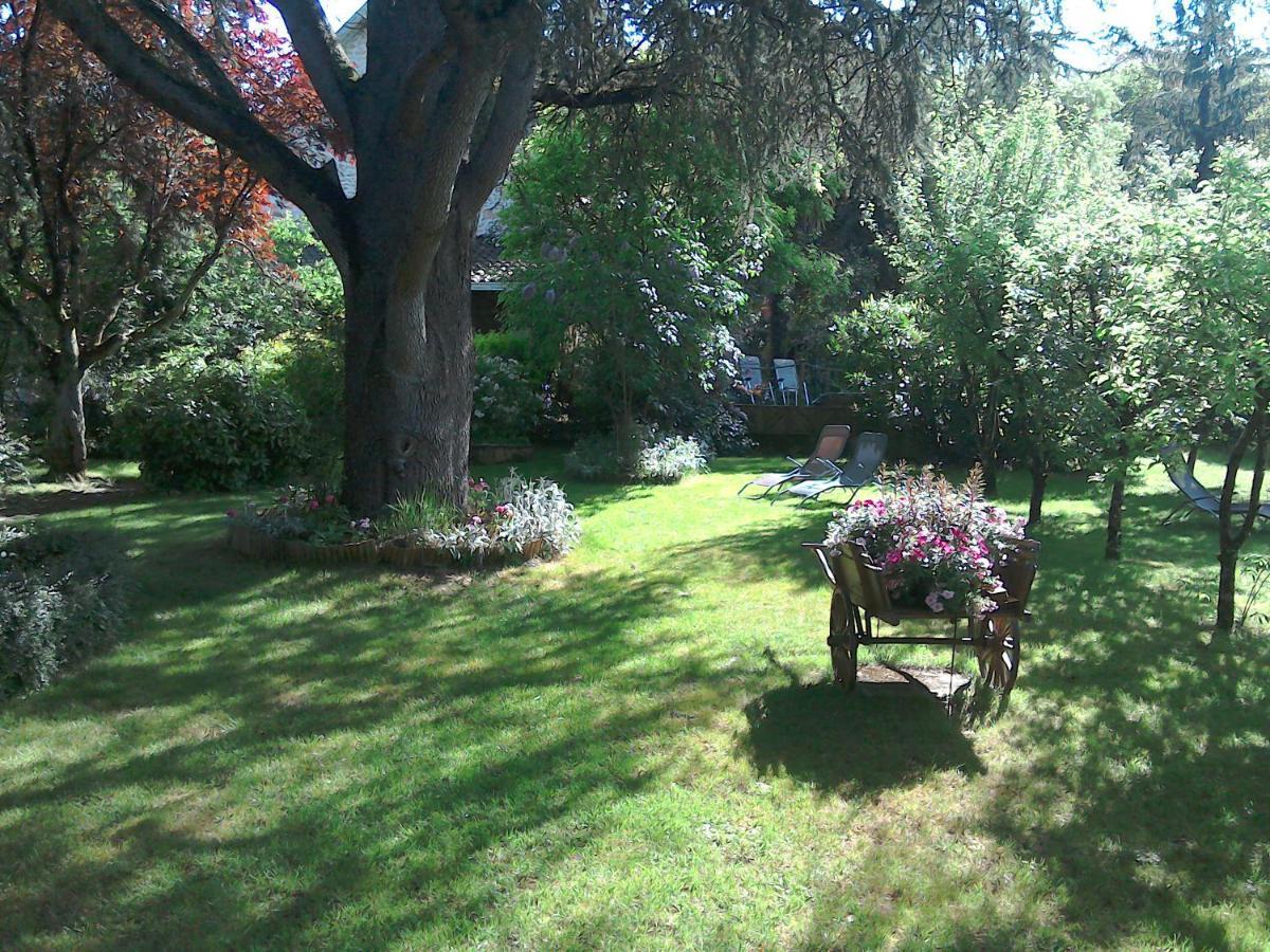 לינה וארוחת בוקר Le Jardin Sarlat מראה חיצוני תמונה